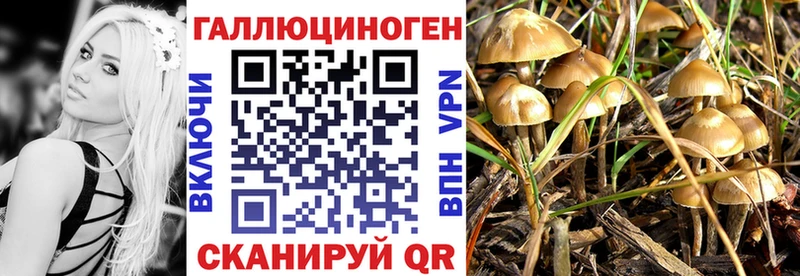 Галлюциногенные грибы Magic Shrooms  Кулебаки 